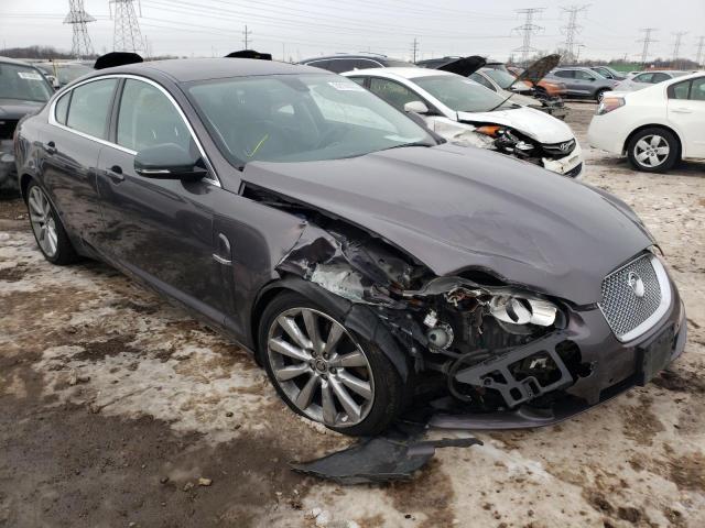 JAGUAR XF PREMIUM 2010 sajwa0gb6alr54817