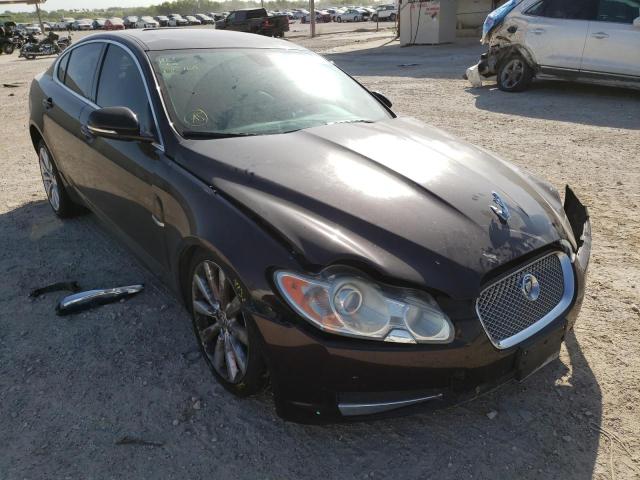 JAGUAR XF PREMIUM 2011 sajwa0gb6blr88760