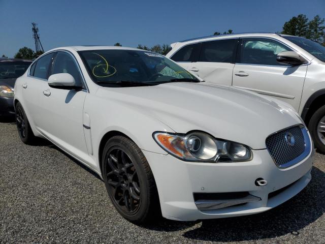 JAGUAR XF PREMIUM 2011 sajwa0gb6blr98902