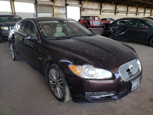 JAGUAR XF PREMIUM 2011 sajwa0gb7blr84586