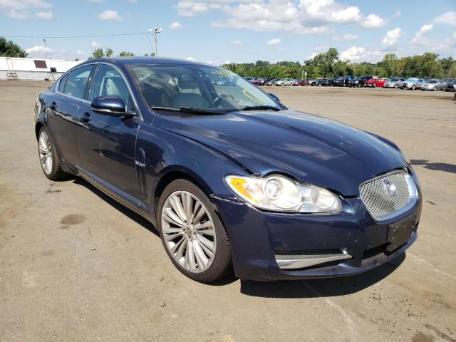 JAGUAR XF PREMIUM 2011 sajwa0gb7bls03341