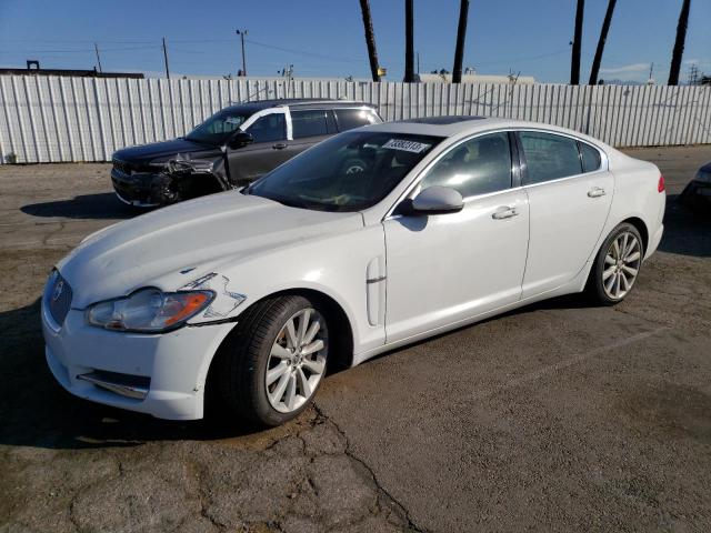 JAGUAR XF 2011 sajwa0gb7bls07339