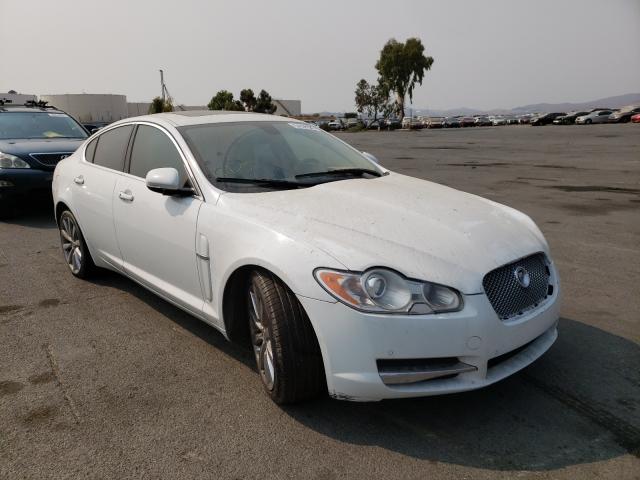 JAGUAR XF PREMIUM 2011 sajwa0gb7bls17899