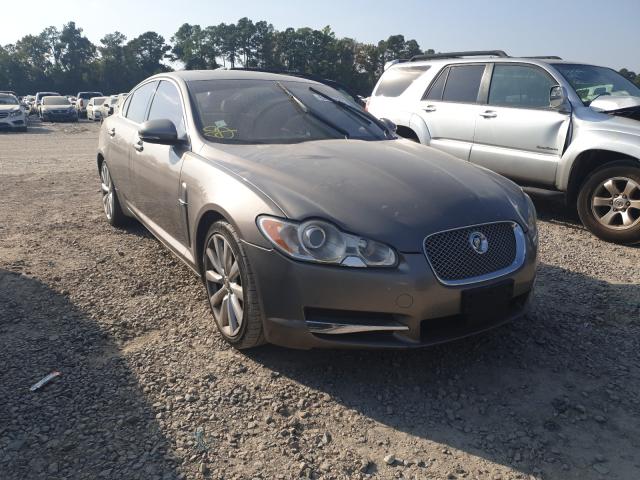 JAGUAR XF PREMIUM 2010 sajwa0gb8alr57914