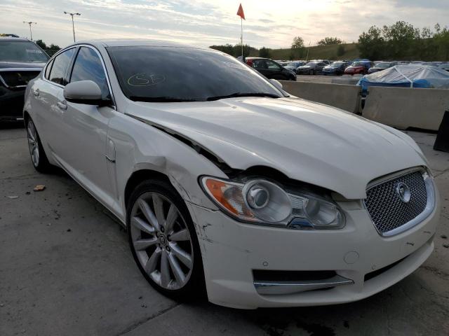 JAGUAR XF PREMIUM 2010 sajwa0gb8alr58528