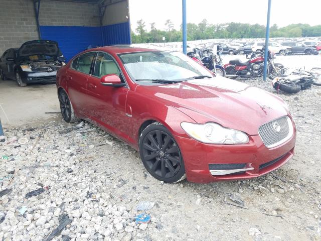 JAGUAR XF PREMIUM 2010 sajwa0gb8alr65012