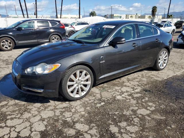 JAGUAR XF PREMIUM 2011 sajwa0gb8bls01386