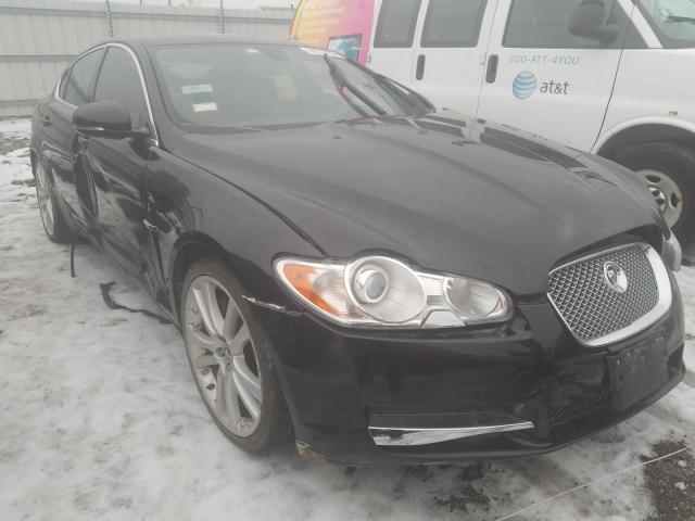 JAGUAR XF PREMIUM 2011 sajwa0gb8bls02215