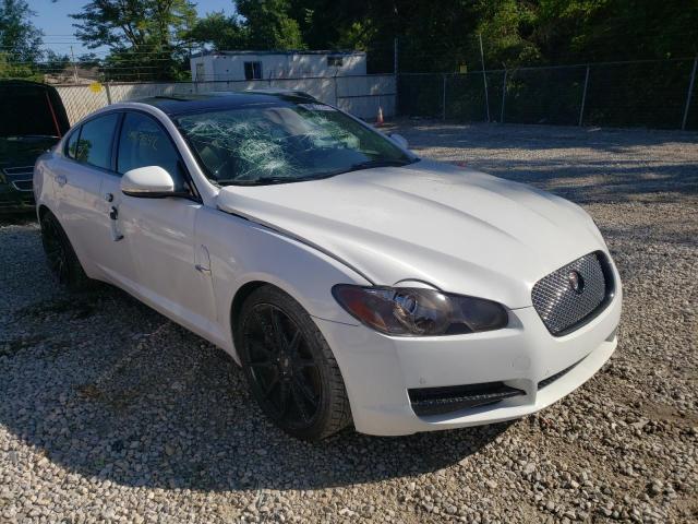 JAGUAR XF PREMIUM 2011 sajwa0gb8bls07270