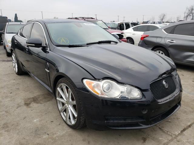 JAGUAR XF PREMIUM 2011 sajwa0gb8bls19046