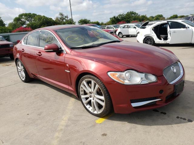 JAGUAR XF PREMIUM 2010 sajwa0gb9alr56609