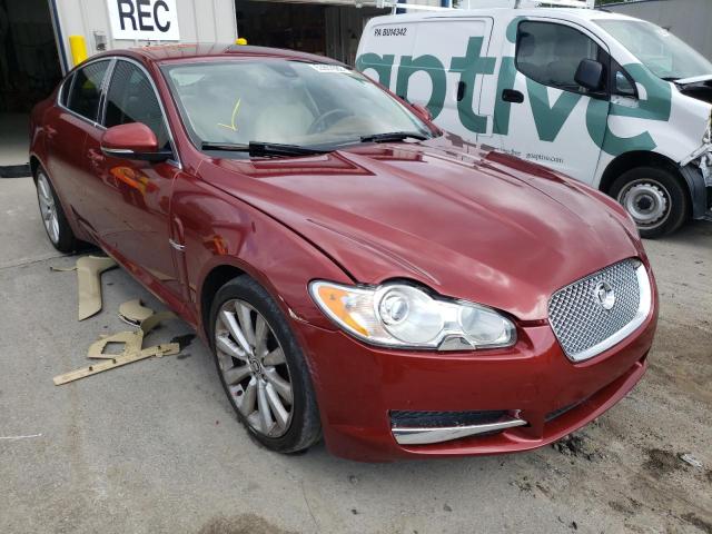 JAGUAR XF PREMIUM 2010 sajwa0gb9alr57601