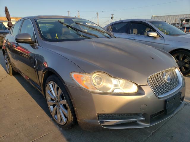 JAGUAR XF PREMIUM 2010 sajwa0gb9alr68288