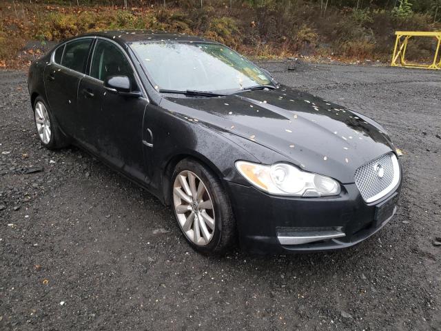 JAGUAR XF 2011 sajwa0gb9blr84542