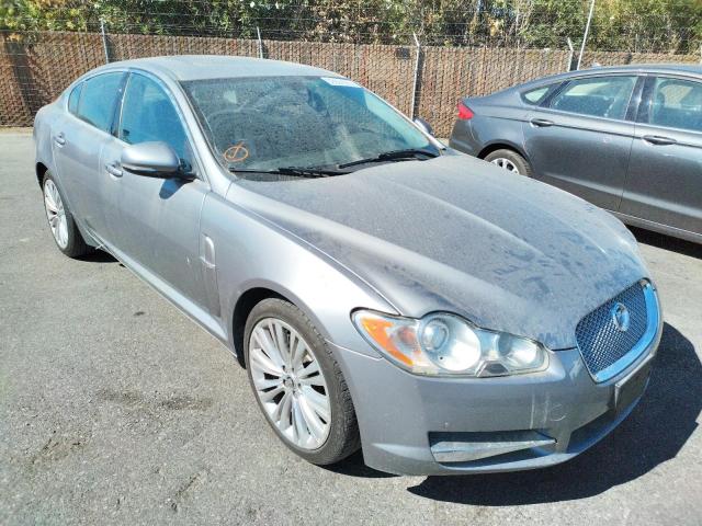 JAGUAR XF PREMIUM 2011 sajwa0gb9blr95301