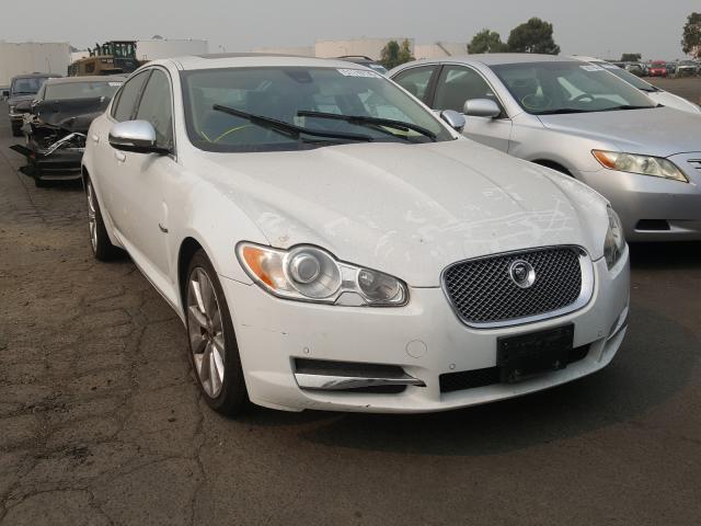 JAGUAR XF PREMIUM 2011 sajwa0gb9bls10615