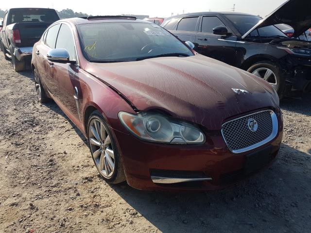 JAGUAR XF PREMIUM 2011 sajwa0gb9bls18679