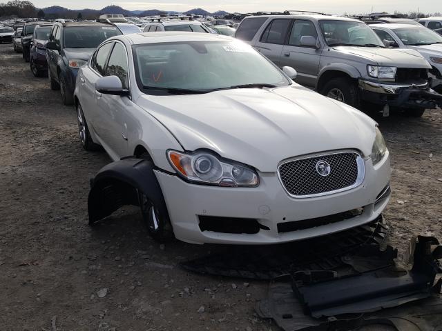 JAGUAR XF PREMIUM 2010 sajwa0gbxalr49698