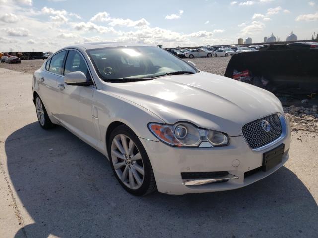 JAGUAR XF PREMIUM 2010 sajwa0gbxalr63911