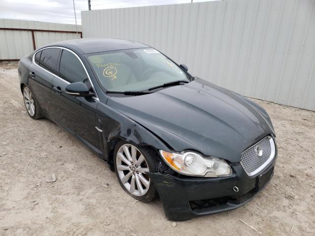 JAGUAR XF PREMIUM 2010 sajwa0gbxalr64346