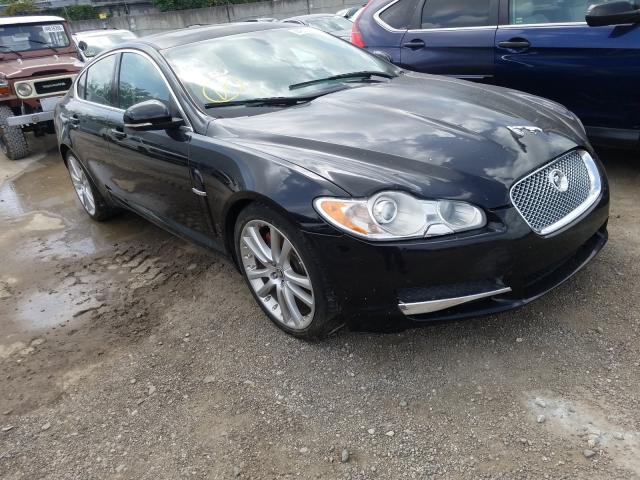 JAGUAR XF PREMIUM 2010 sajwa0gbxalr78442