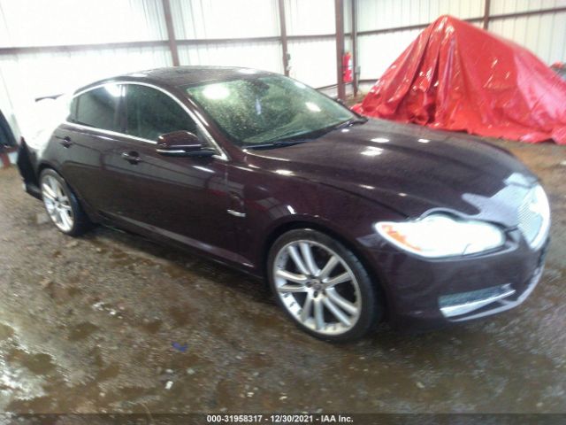 JAGUAR XF 2011 sajwa0gbxblr93539