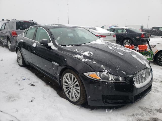 JAGUAR XF PORTFOL 2012 sajwa0hb3cls50477