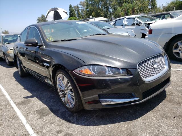 JAGUAR XF PORTFOL 2012 sajwa0hb3cls59258