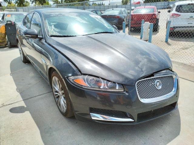 JAGUAR XF PORTFOL 2012 sajwa0hb4cls43487