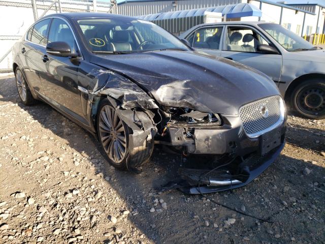 JAGUAR XF PORTFOL 2012 sajwa0hb7cls52541