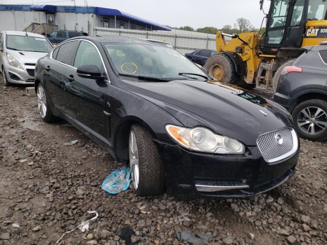 JAGUAR XF SUPERCH 2010 sajwa0he2amr65042