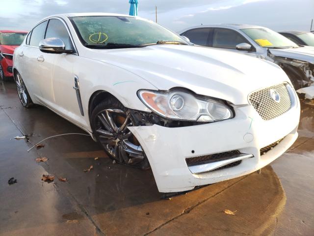 JAGUAR XF SUPERCH 2011 sajwa0he4bmr97699