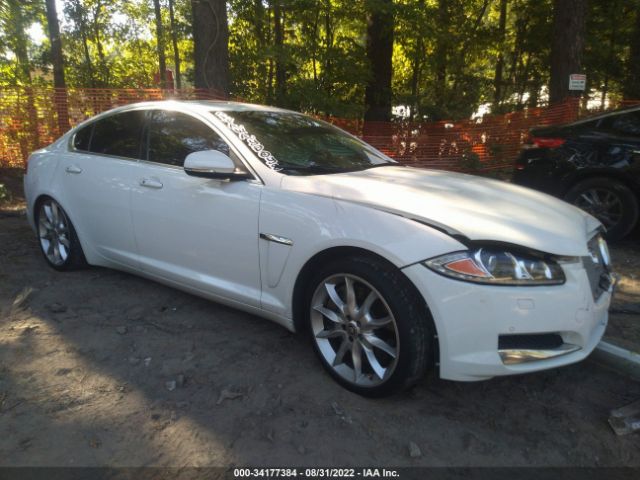 JAGUAR XF 2013 sajwa0he4dms84594