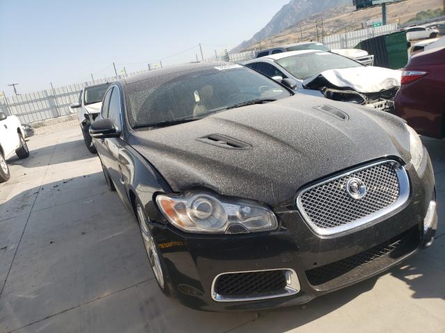 JAGUAR XF R 2010 sajwa0jc5amr61138