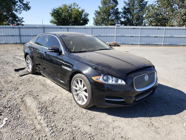 JAGUAR XJ 2013 sajwa1c71d8v46580