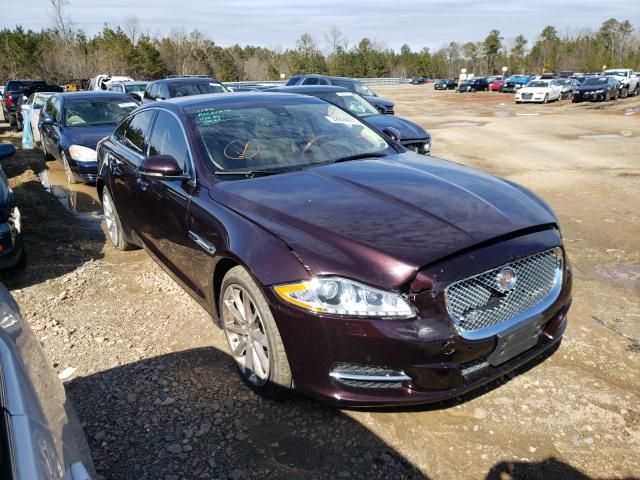 JAGUAR XJ 2011 sajwa1cb9blv21294