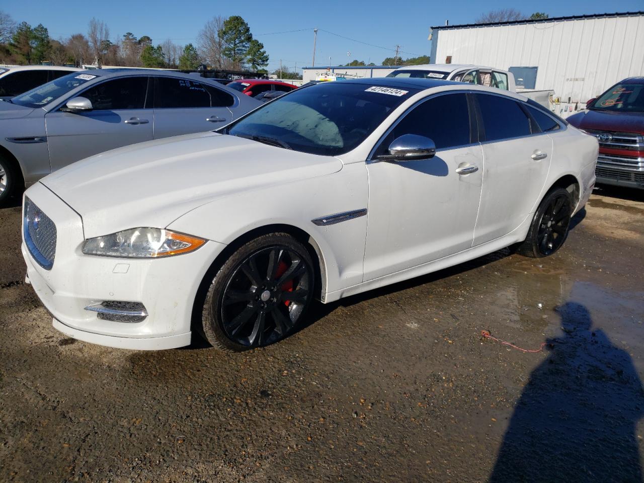 JAGUAR XJ 2015 sajwa1cz3f8v84753