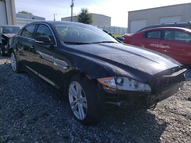 JAGUAR XJL PORTFO 2013 sajwa2gb5dlv42632