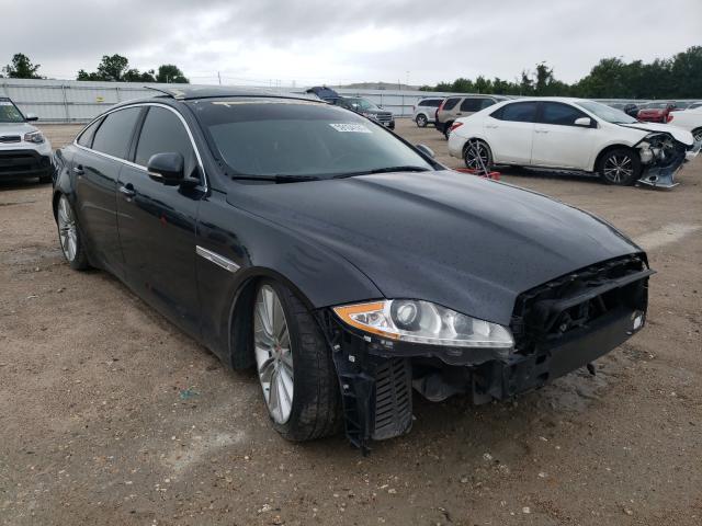 JAGUAR XJL PORTFO 2015 sajwa2gz2f8v85375