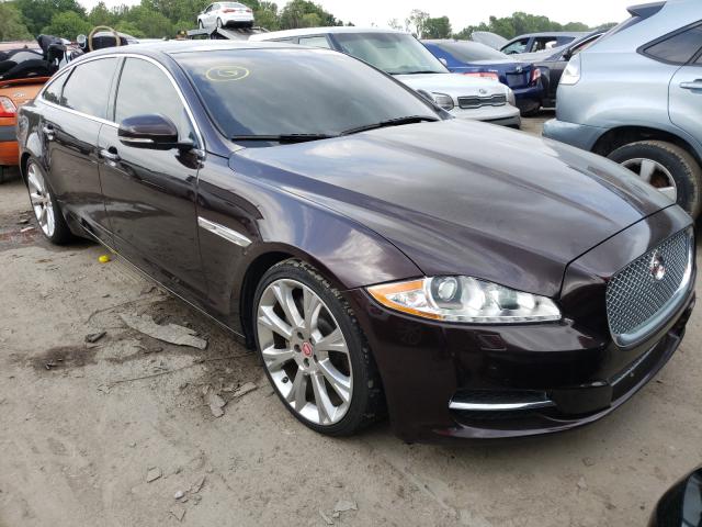 JAGUAR XJL PORTFO 2014 sajwa2gz8e8v61466