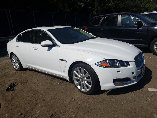 JAGUAR XF 2013 sajwj0ef0d8s89233