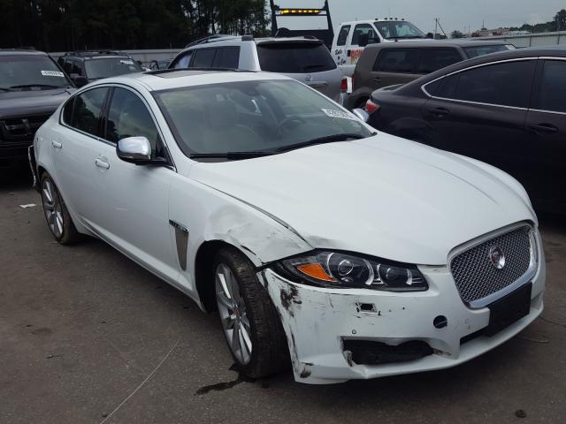 JAGUAR XF 2014 sajwj0ef0e8u21201