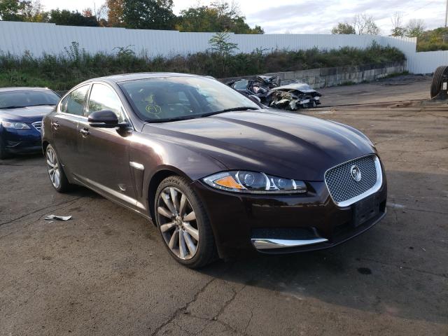 JAGUAR XF 2013 sajwj0ef1d8s84283