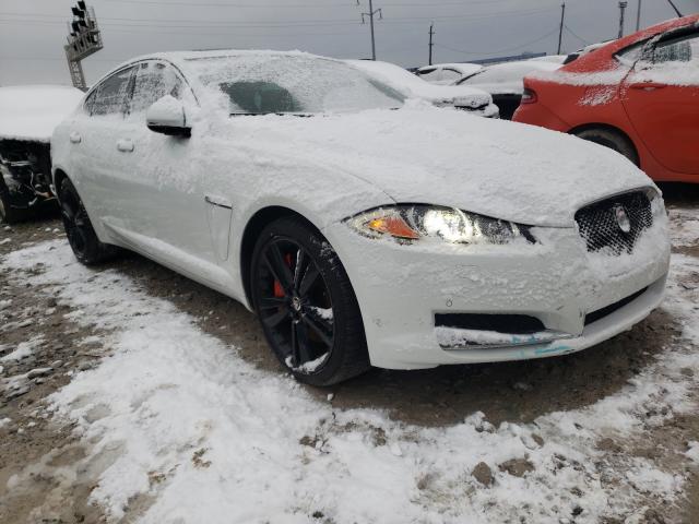 JAGUAR XF 2014 sajwj0ef2e8u18137