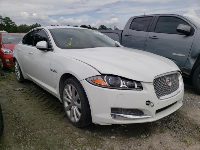 JAGUAR XF 2014 sajwj0ef2e8u18784