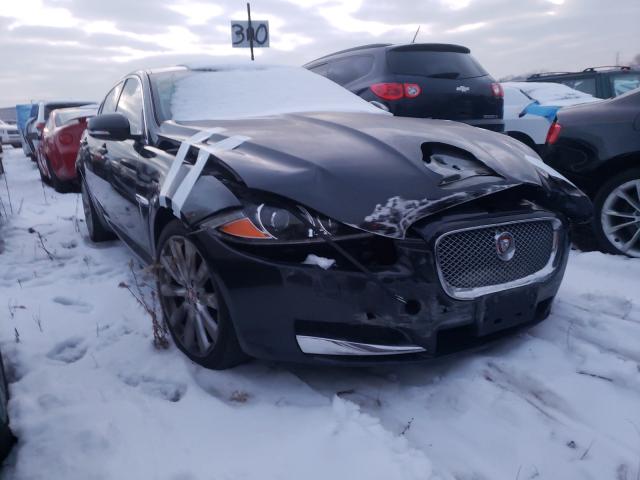 JAGUAR XF 2014 sajwj0ef3e8u31043