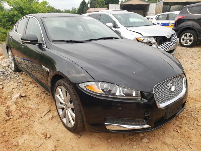 JAGUAR XF 2013 sajwj0ef5d8s88112