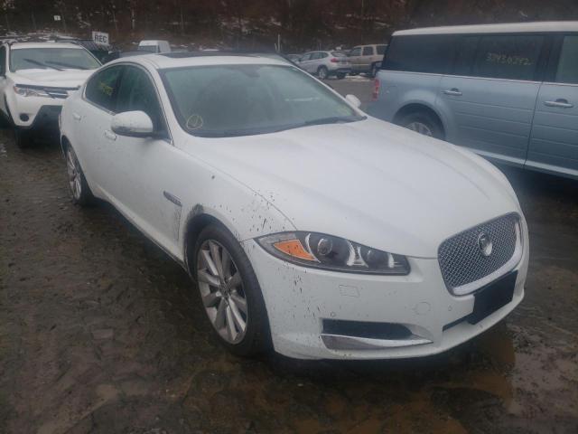 JAGUAR XF 2013 sajwj0ef7d8s73918