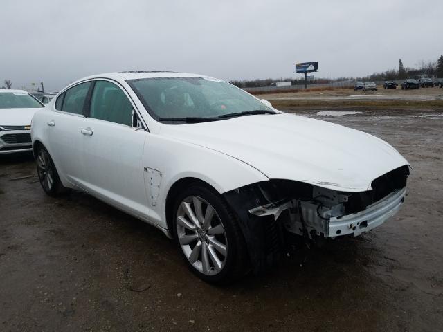 JAGUAR XF 2013 sajwj0ef7d8s87088