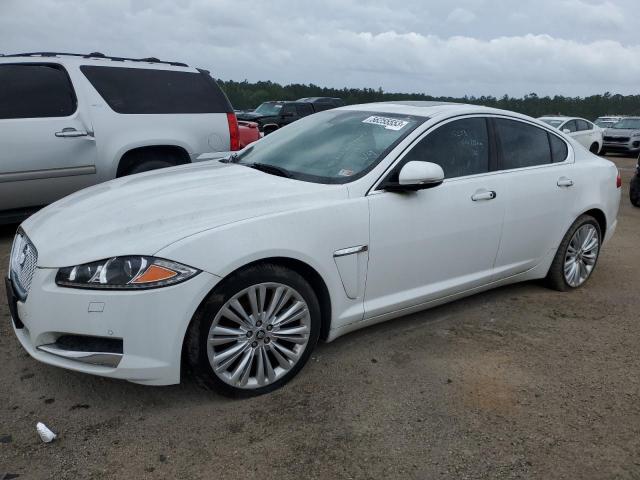 JAGUAR XF 2013 sajwj0ef9d8s85018